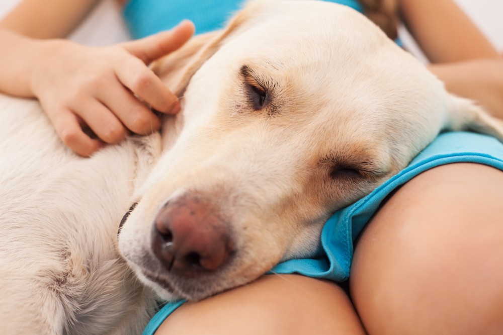 Wie findet man einen guten Tierkommunikator?